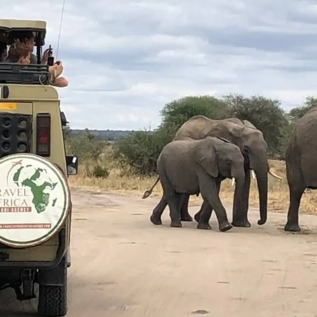 Explore 4-Day Private Lodge with Travel Africa(2 Night Serenget) for 4 days with  Travel Africa Safari Agency and discover unforgettable experiences - Photo 2