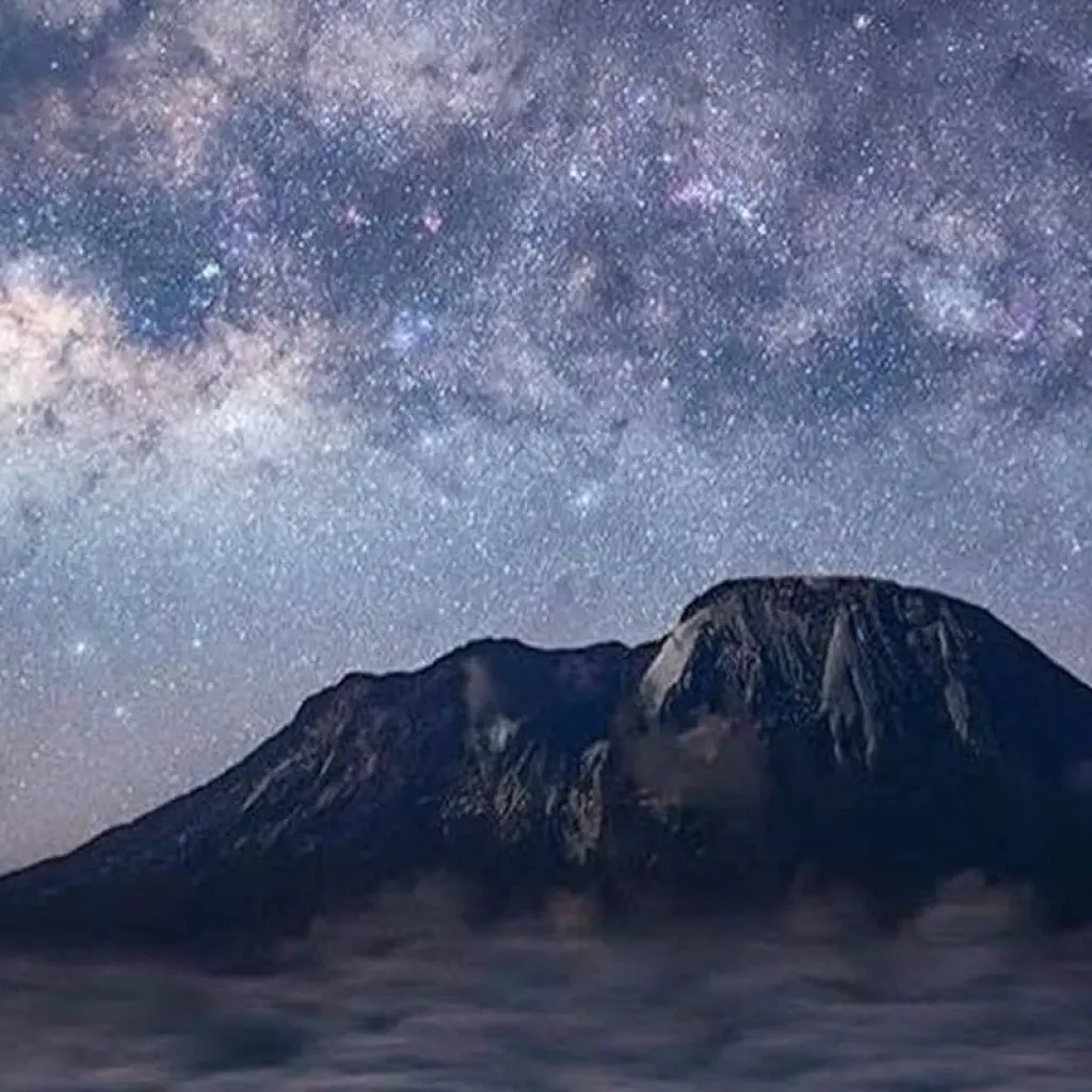 Explore 6 Days Mount Kilimanjaro Machame Route Climb for 6 days with  Travel Africa Safari Agency and discover unforgettable experiences - Photo 2