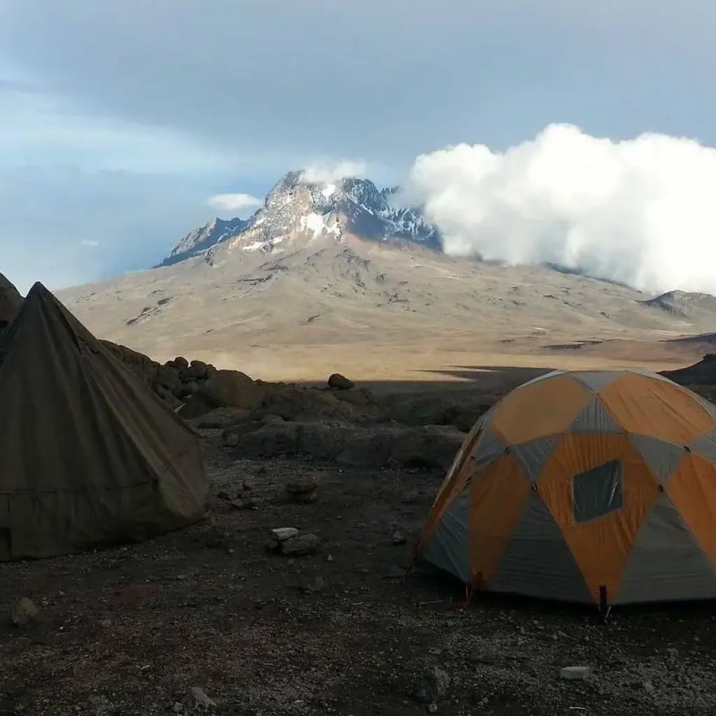 Explore 5 Days Mount Kilimanjaro Marangu Route climb for 5 days with  Travel Africa Safari Agency and discover unforgettable experiences - Photo 2