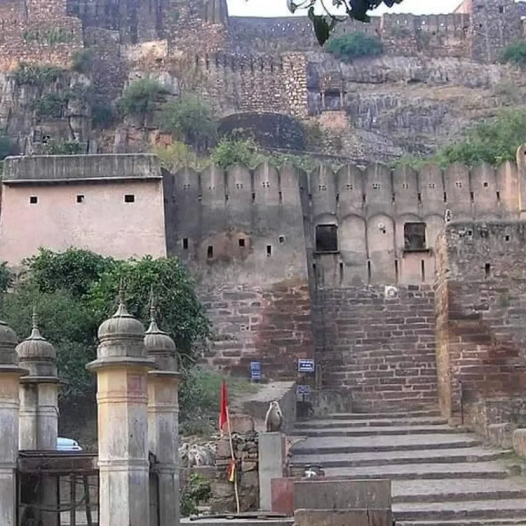 Explore From Delhi: 3 Day Tour of Ranthambore Tiger Safari!! for 3 days with  Taj Voyages Tours  and discover unforgettable experiences - Photo 2