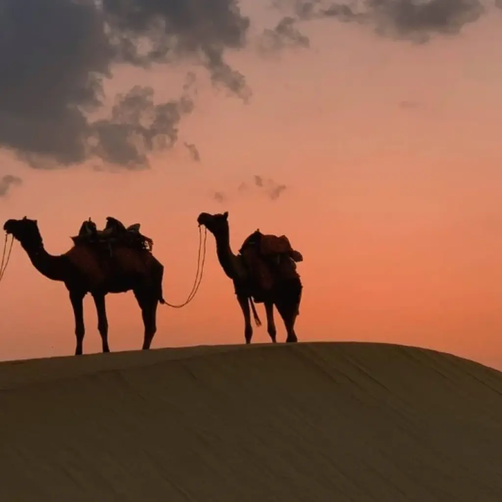 Explore 2 Nights 3 Days Golden City Jaisalmer Tour for 3 days with  Taj Voyages Tours  and discover unforgettable experiences - Photo 2