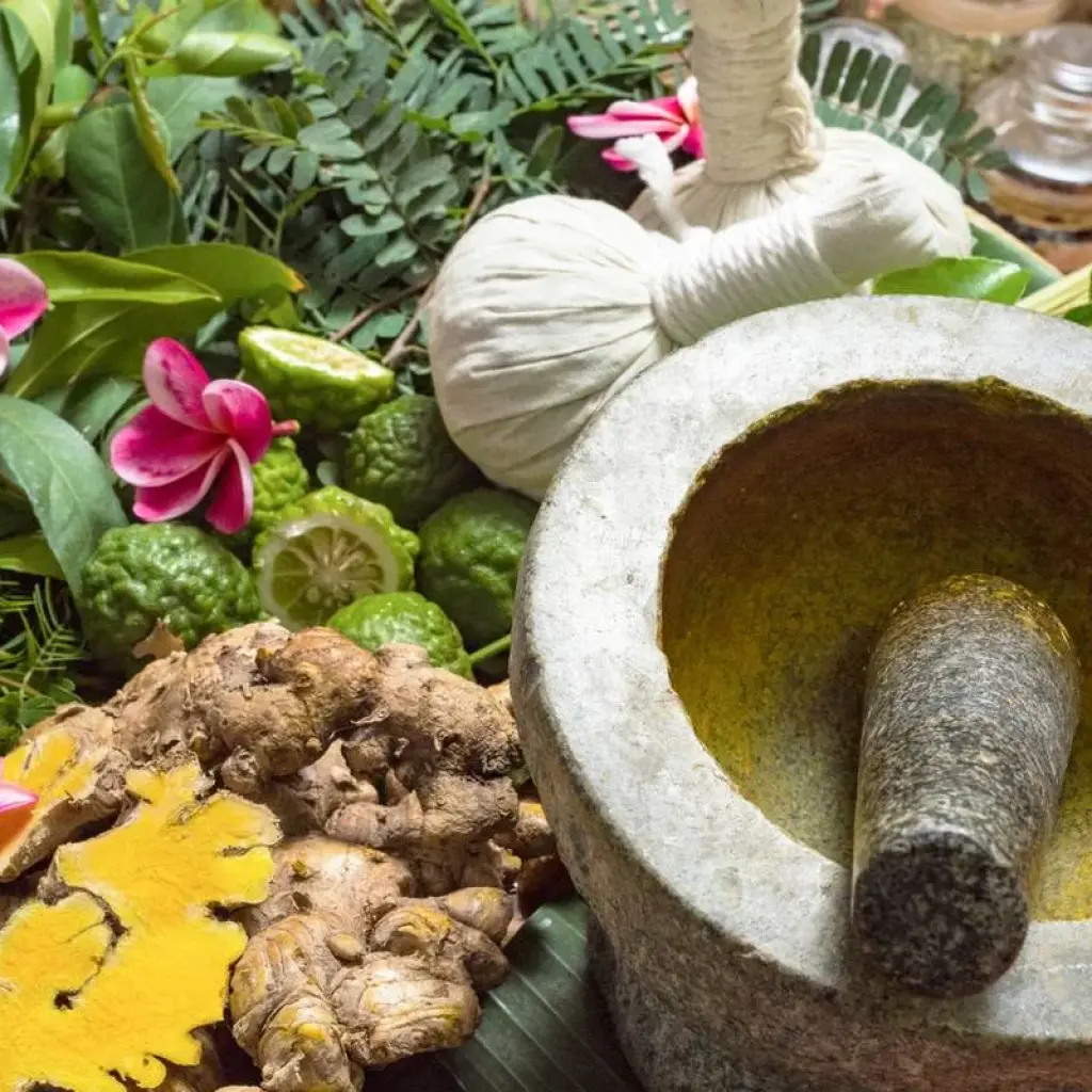 Explore Kerala Heritage Odyssey (8 Nights 9 Days) for 9 days with  Taj Voyages Tours  and discover unforgettable experiences - Photo 2