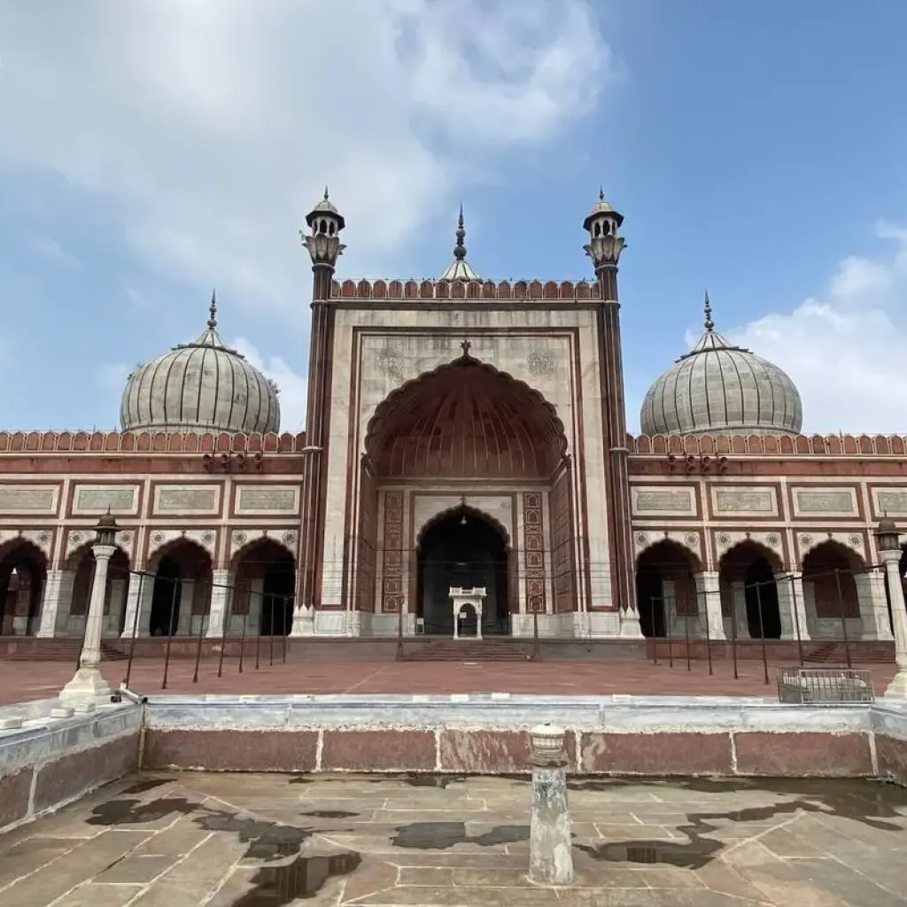 Explore Taj Mahal , Tiger & Pink City Tour!! for 7 days with  Taj Voyages Tours  and discover unforgettable experiences - Photo 2