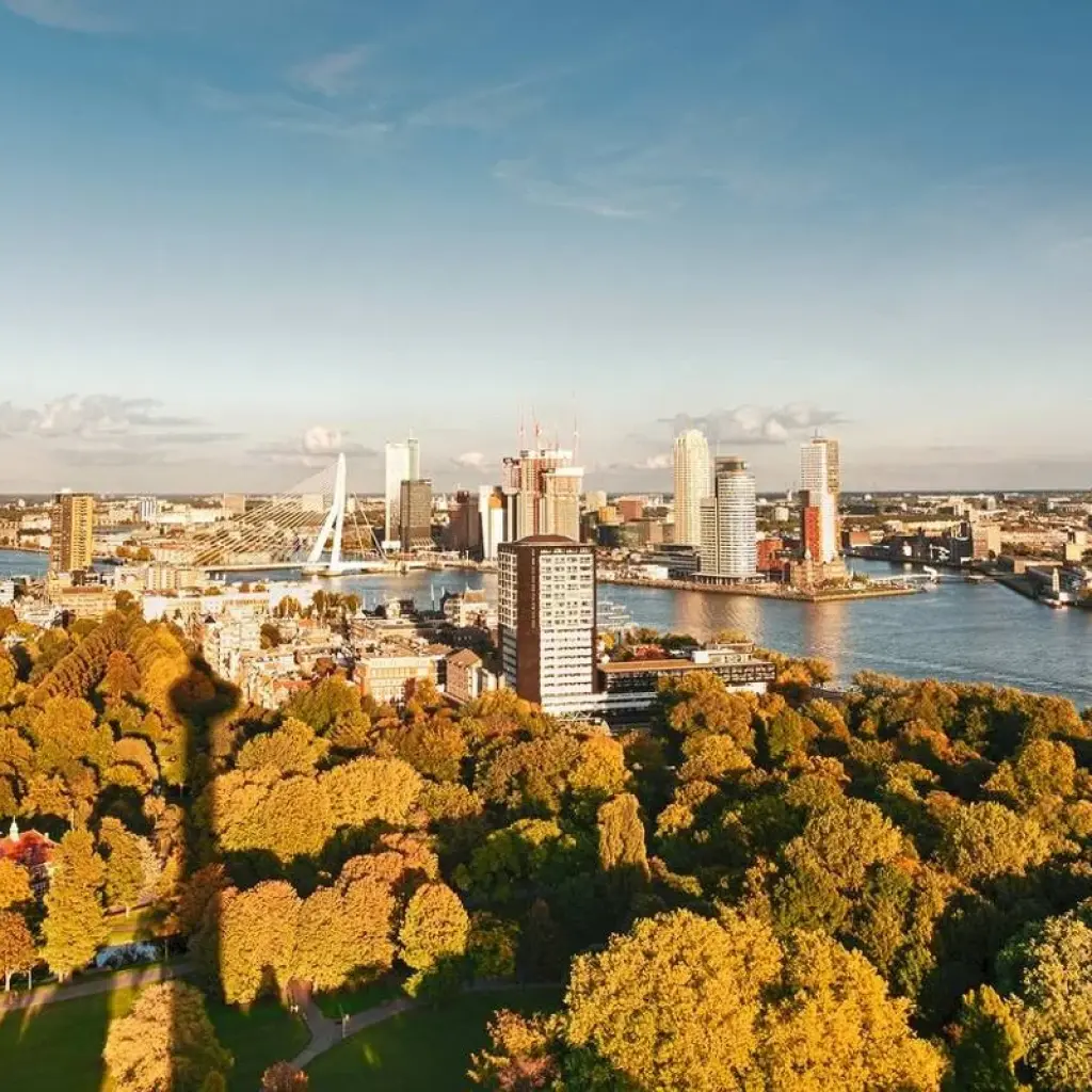 Explore Rhine Experience Amsterdam & Rotterdam 2026 for 8 days with A-ROSA and discover unforgettable experiences - Photo 2