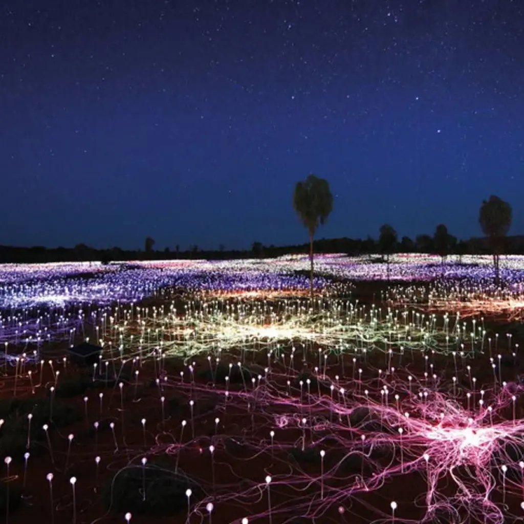 Explore Uluru and Kata Tjuta Experience (Superior, Short Break) for 3 days with AAT Kings and discover unforgettable experiences - Photo 2