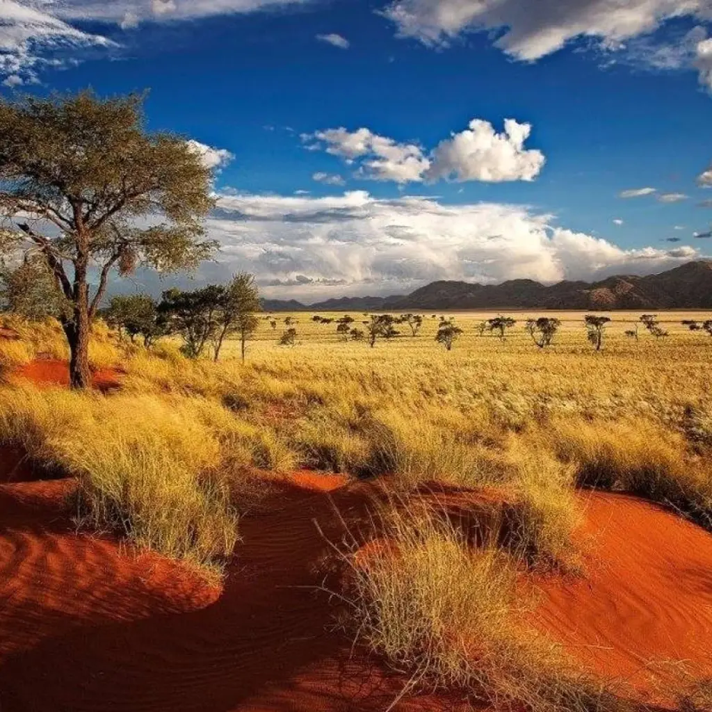 Explore Sossusvlei Region Short Break, Private Tour (On Request) for 4 days with ATC Group and discover unforgettable experiences - Photo 2