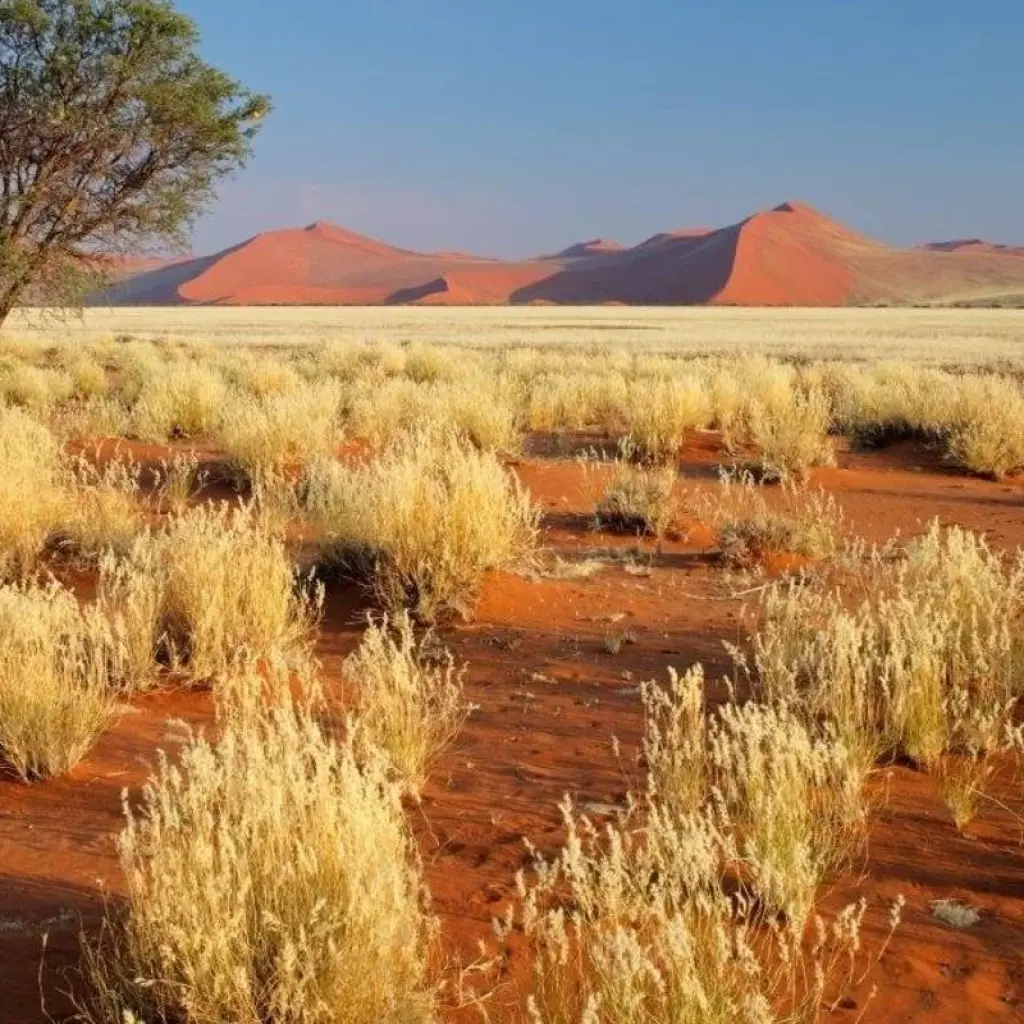 Explore Beautiful Contrasts of Southern Namibia, Private Tour (On Request) for 7 days with ATC Group and discover unforgettable experiences - Photo 2