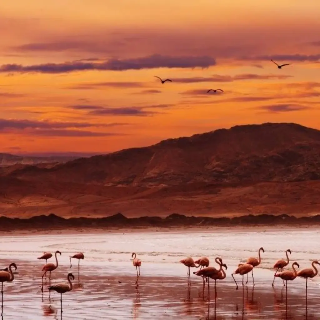 Explore Deserts of Namibia, Private Tour (On Request) for 7 days with ATC Group and discover unforgettable experiences - Photo 3
