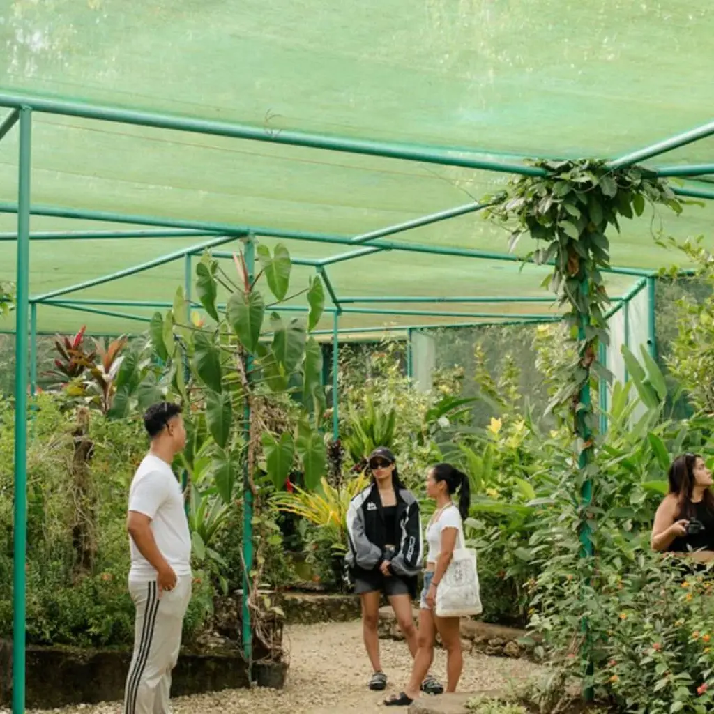 Explore Bohol and Siquijor 5-Day Adventure for 5 days with Abraham Tours Philippines and discover unforgettable experiences - Photo 2