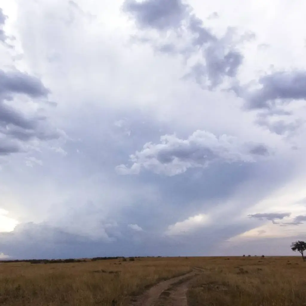 Explore The Gorilla Trek for 22 days with Absolute Africa and discover unforgettable experiences - Photo 2