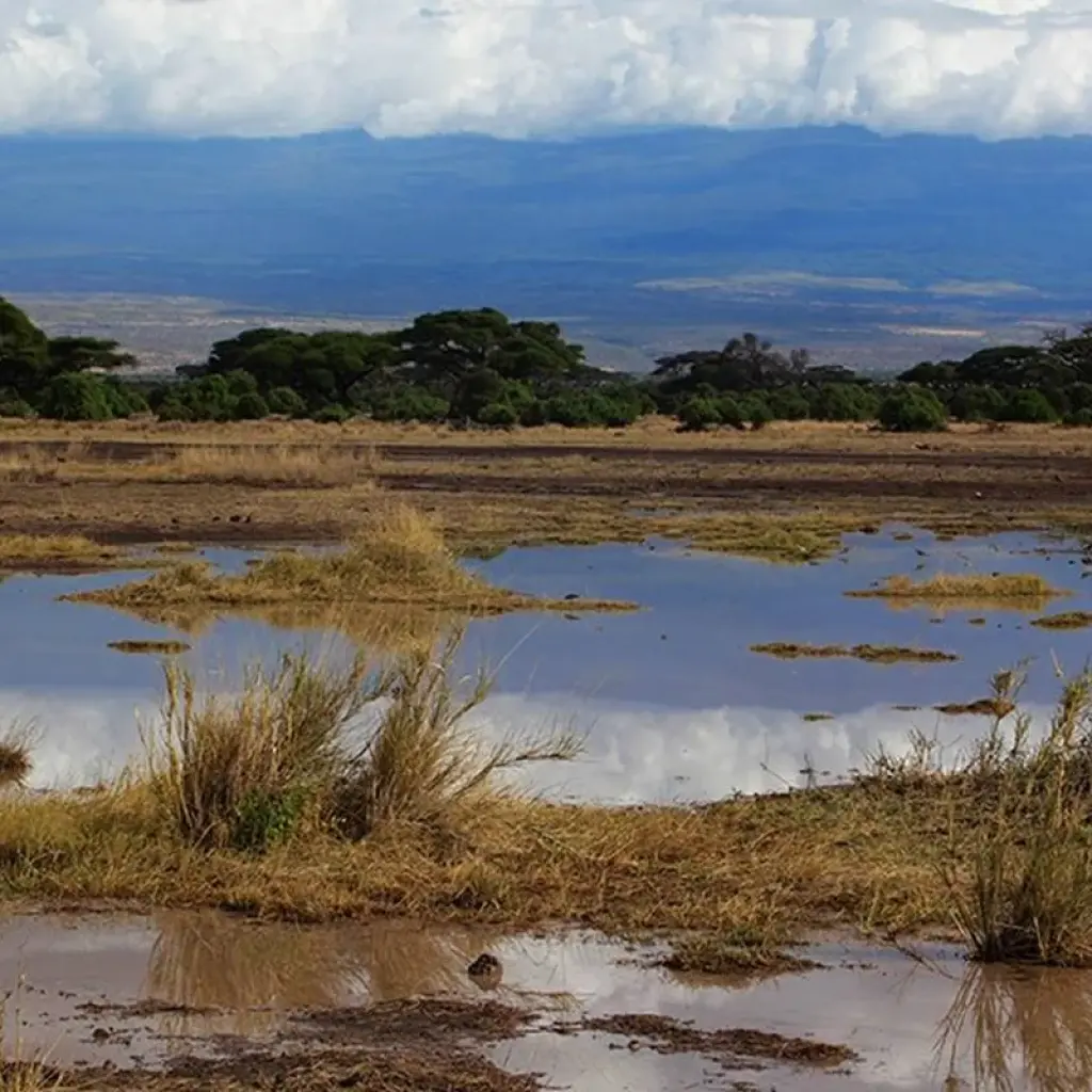 Explore A Week In Kenya for 9 days with Absolute Africa and discover unforgettable experiences - Photo 2