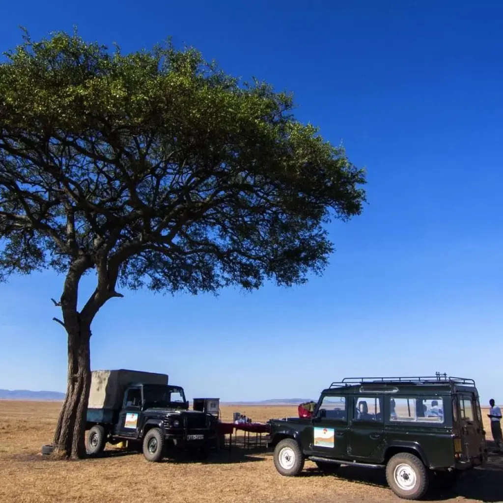 Explore East Africa Encounter for 30 days with Absolute Africa and discover unforgettable experiences - Photo 2