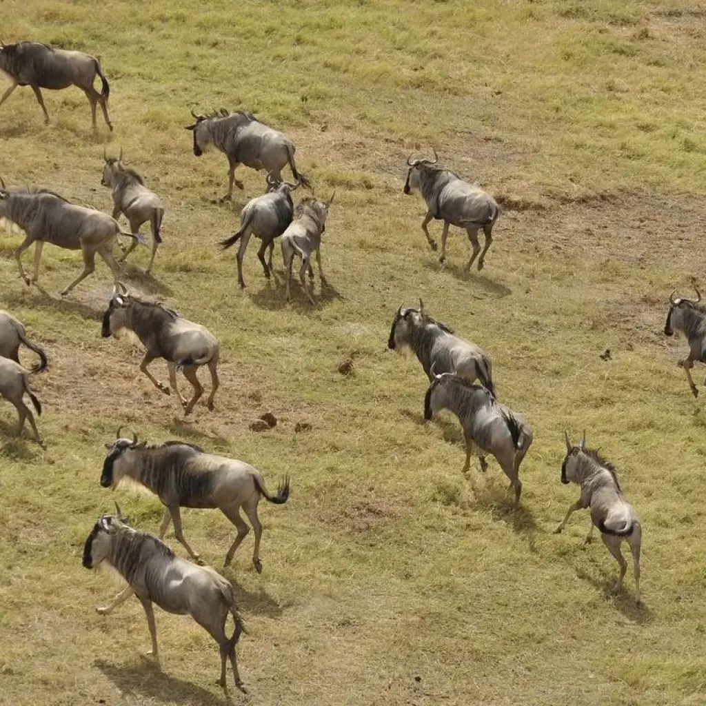 Explore African Sky for 19 days with Absolute Africa and discover unforgettable experiences - Photo 2