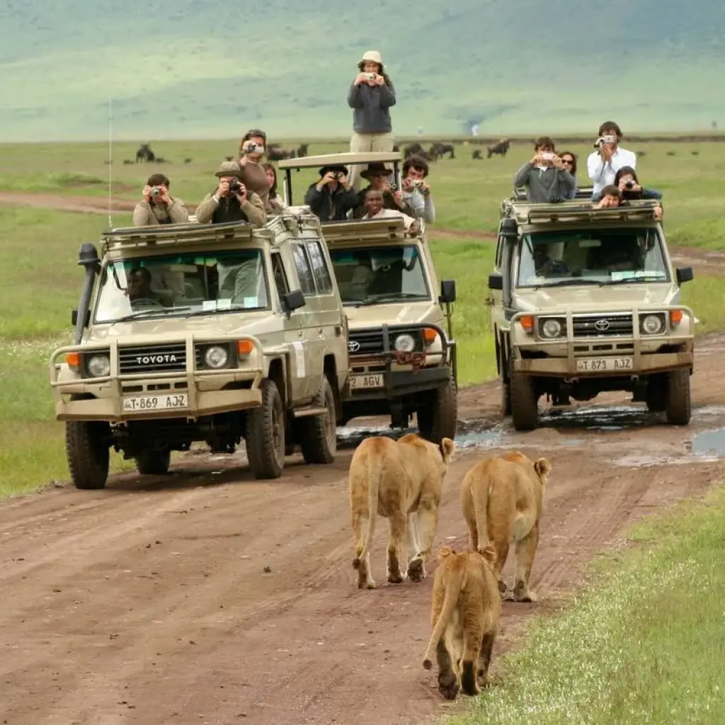 Explore Serengeti and Ngorongoro Crater for 5 days with Absolute Africa and discover unforgettable experiences - Photo 2
