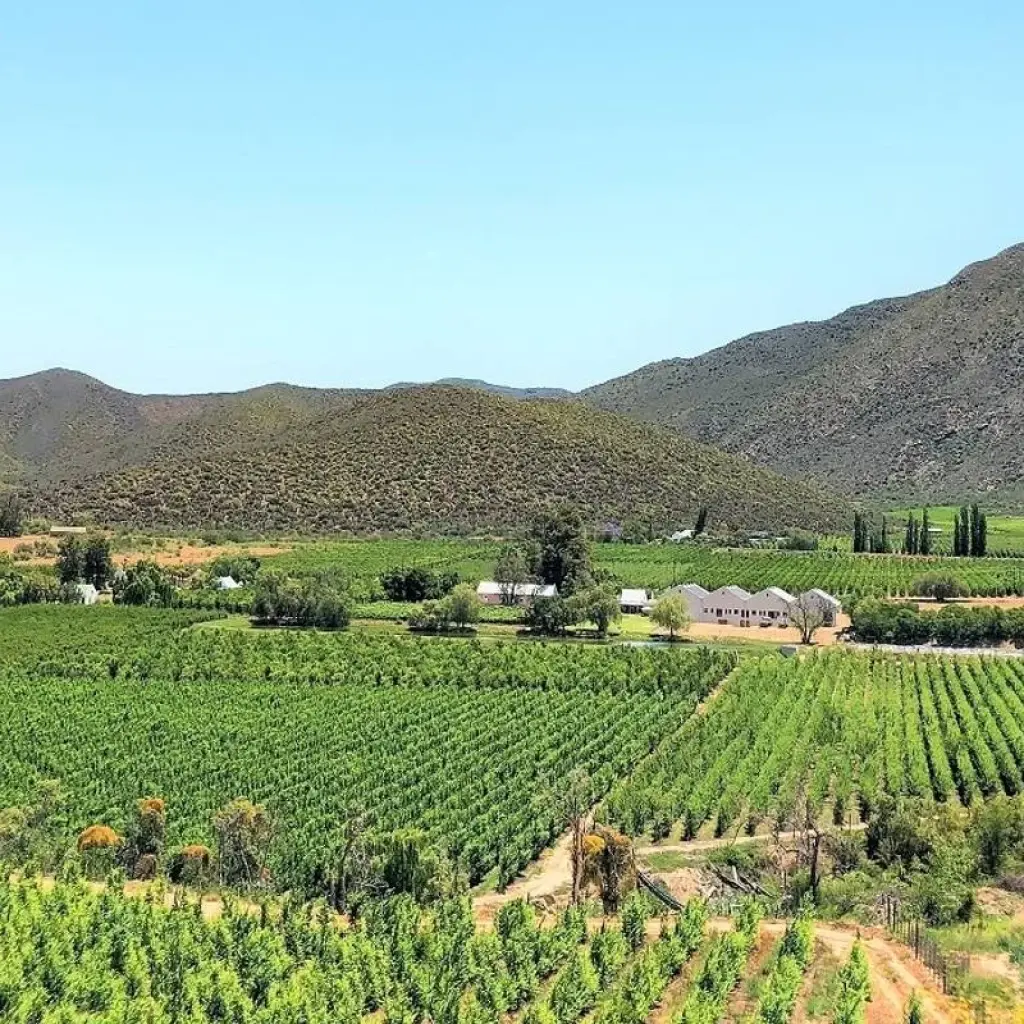 Explore 4-day Highlights of the Garden Route (Accommodated) for 4 days with Acacia Adventure Holidays and discover unforgettable experiences - Photo 2