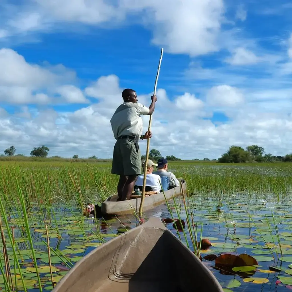 Explore 8-day Okavango Delta & Chobe Express (Camping) for 8 days with Acacia Adventure Holidays and discover unforgettable experiences - Photo 2