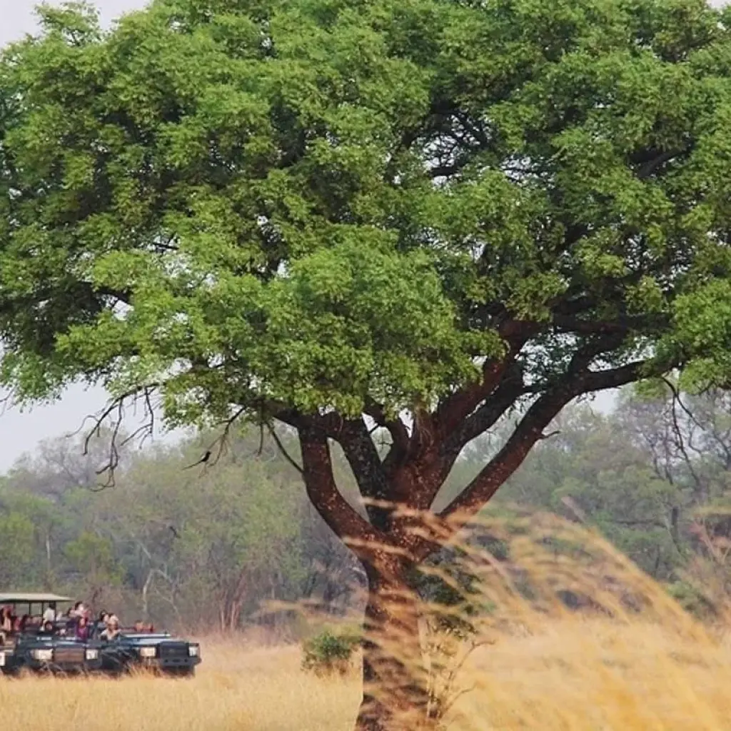 Explore 6-day Kruger, Swazi & Wild Coast (Accommodated) for 6 days with Acacia Adventure Holidays and discover unforgettable experiences - Photo 2