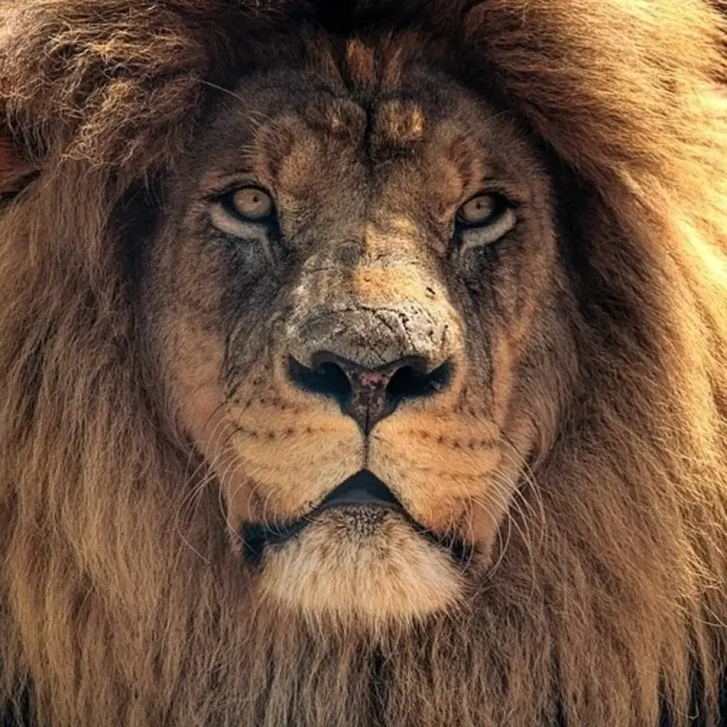 Explore 7-day Kruger, Eswatini & Durban (Accommodated) for 7 days with Acacia Adventure Holidays and discover unforgettable experiences - Photo 2