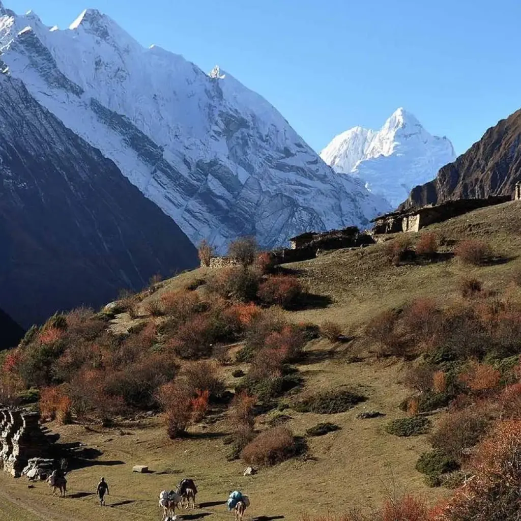 Explore Round Annapurna with Tilicho Lake plus Poonhill Trek for 20 days with Accessible Adventure Pvt. Ltd and discover unforgettable experiences - Photo 2