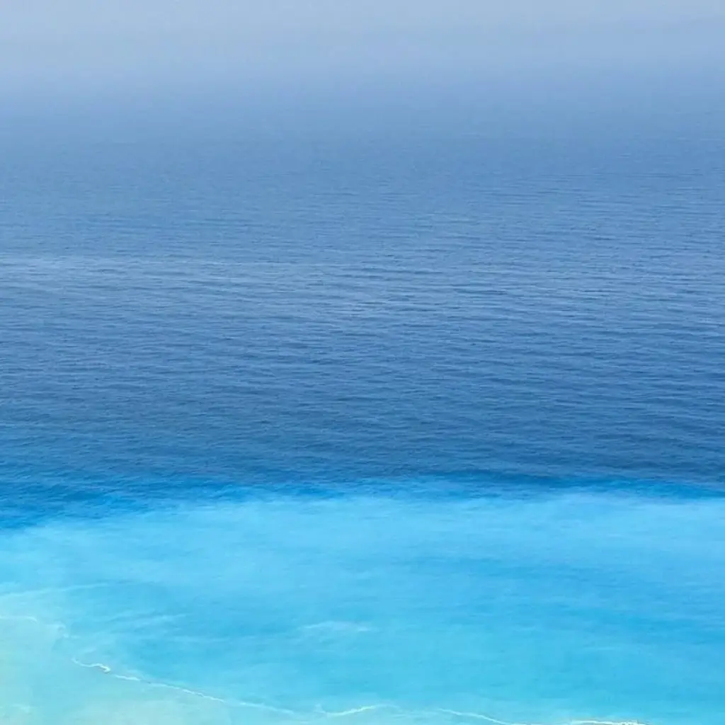 Explore Ultimate Galapagos Escape 8Days/7Nights for 8 days with Across Caribbean Excursions  and discover unforgettable experiences - Photo 2