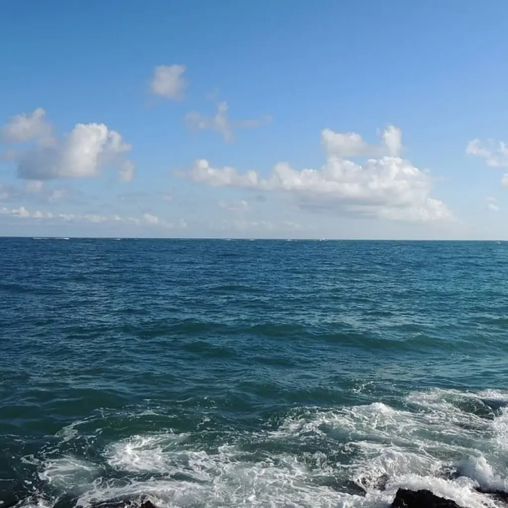 Explore Puerto Rico Family Holiday 7Nights/6Nights for 7 days with Across Caribbean Excursions  and discover unforgettable experiences - Photo 2