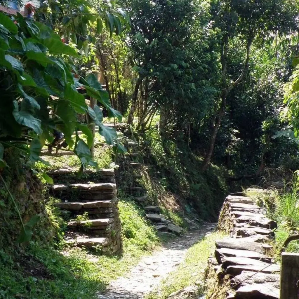 Explore Glimpse of Nepal for 8 days with Ace the Himalaya and discover unforgettable experiences - Photo 2