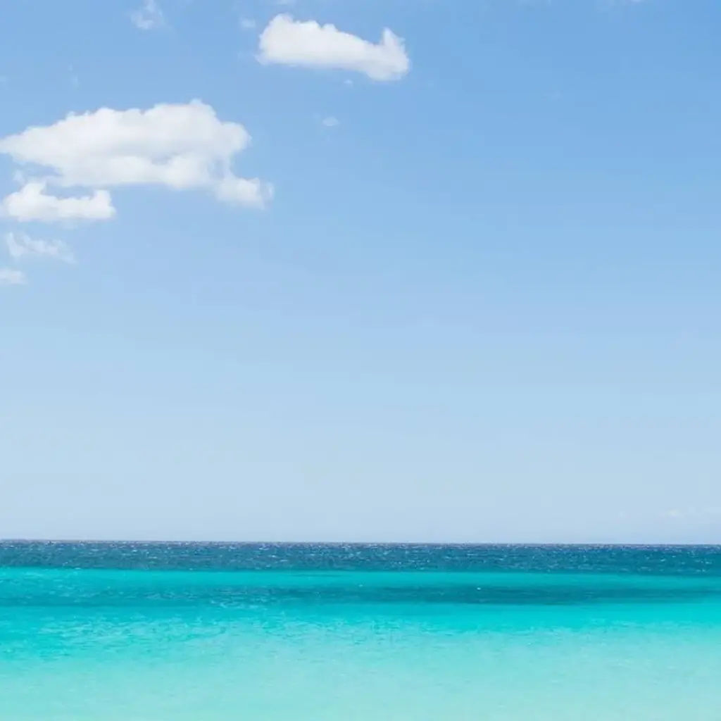 Explore Dominican Republic Delight 7Days/6Nights for 7 days with Across Caribbean Excursions  and discover unforgettable experiences - Photo 2