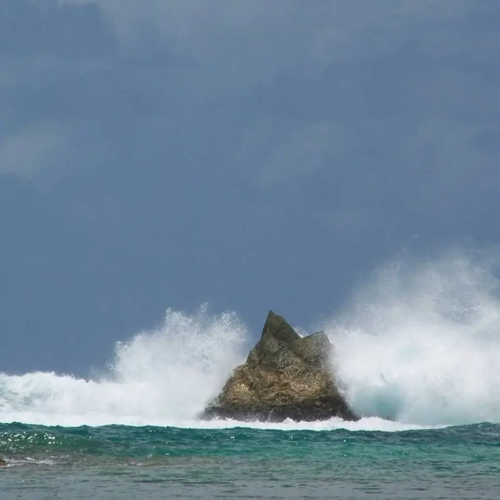 Explore Exploring the Wonders of Martinique 8Days/7nights for 8 days with Across Caribbean Excursions  and discover unforgettable experiences - Photo 2