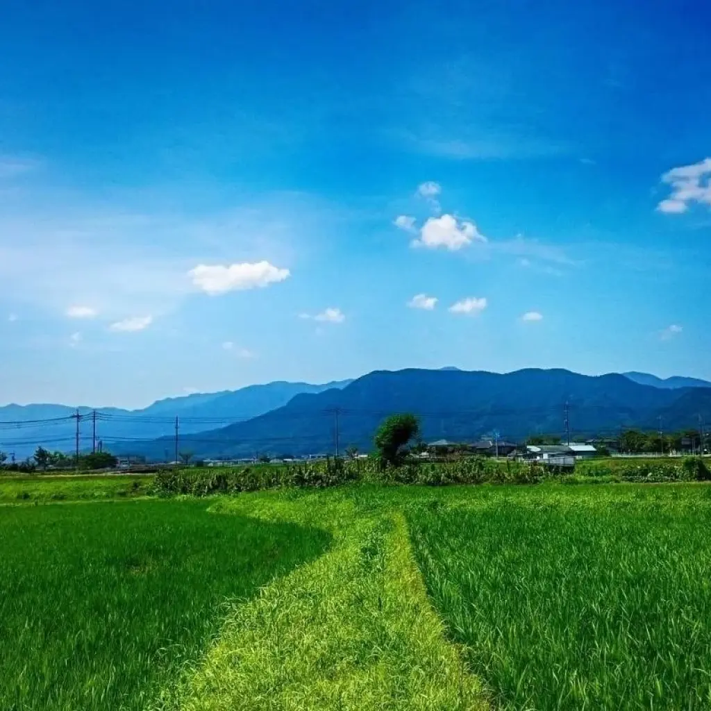 Explore Cultural Tour in Benin 16 Days/15 Nights (Comfort) for 16 days with Across Africa Tours & Travel and discover unforgettable experiences - Photo 2