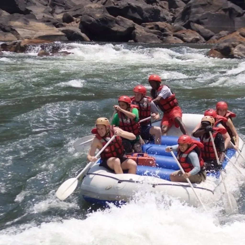 Explore Best of Zimbabwe Experience 6 Days 5 Nights (Comfort Plus) for 7 days with Across Africa Tours & Travel and discover unforgettable experiences - Photo 2