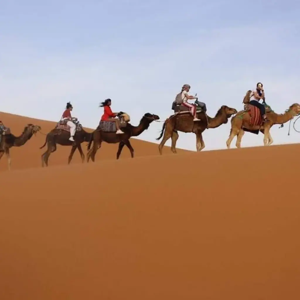 Explore 3 Days Desert Tour from Marrakech to Fes for 3 days with Across Africa Tours & Travel and discover unforgettable experiences - Photo 2