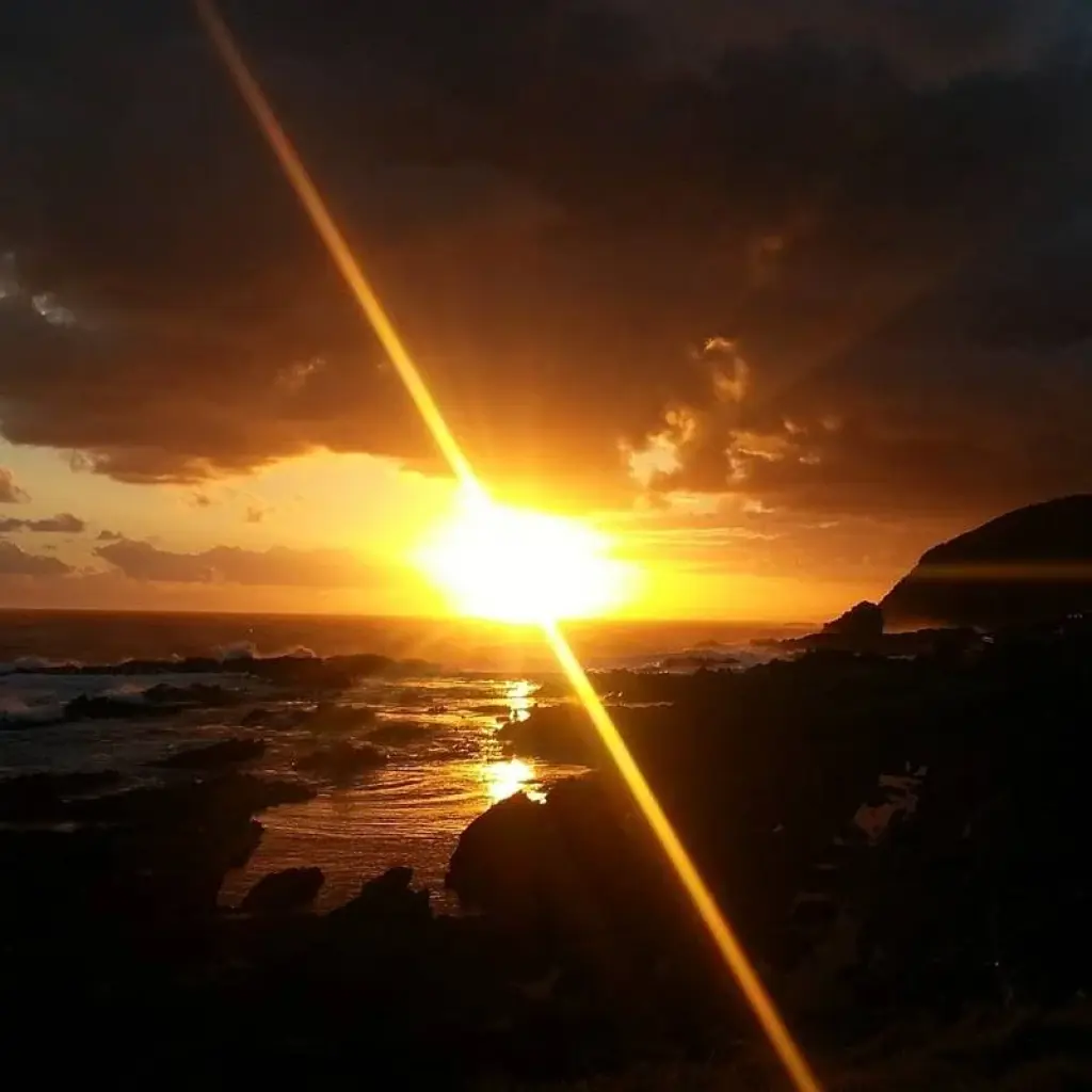 Explore Garden Route & Addo Adventure 9 Days/ 8 Nights ( Comfort) for 9 days with Across Africa Tours & Travel and discover unforgettable experiences - Photo 2