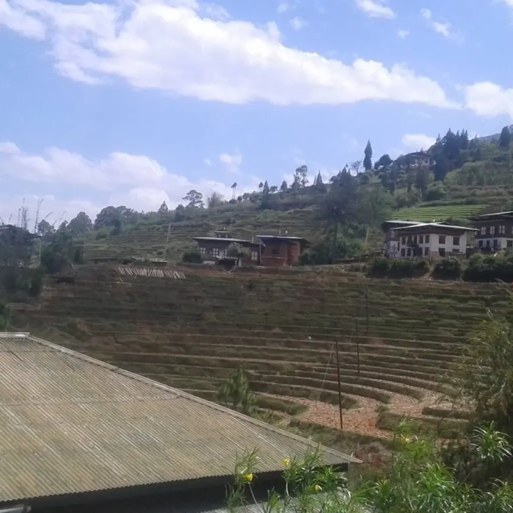 Explore Glimpse of Bhutan 5 nights 6 days for 6 days with Adventure Himalayan Travels and discover unforgettable experiences - Photo 2