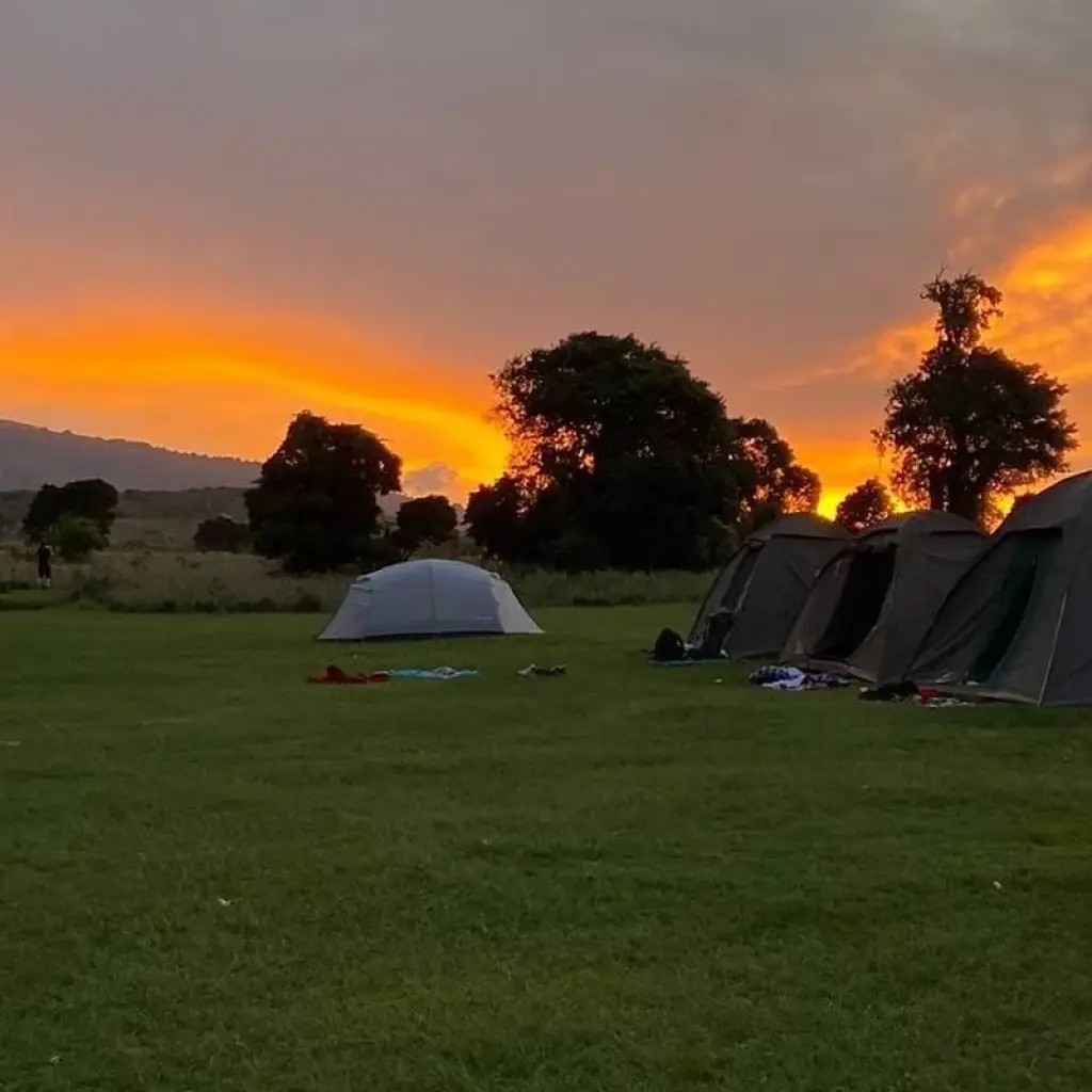 Explore The Stargazar's Dream 5 Days Camping Safari for 5 days with Adventure Makers Tanzania and discover unforgettable experiences - Photo 2