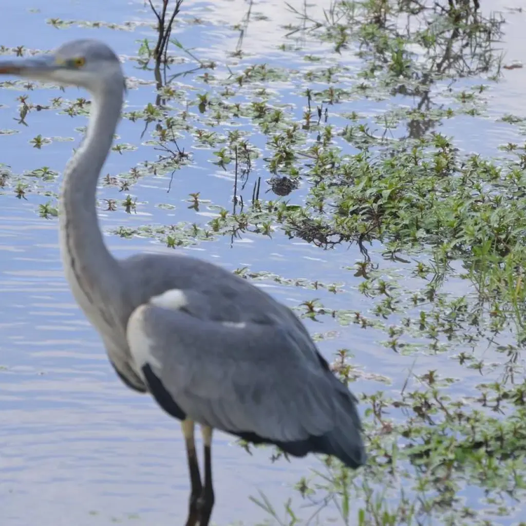 Explore Ngorongoro Crater Day Trip for 1 days with Adventure Makers Tanzania and discover unforgettable experiences - Photo 2