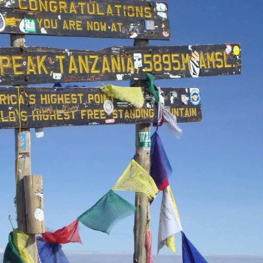 Explore Kilimanjaro Climbing Marangu Route 5 Days for 5 days with Adventure Makers Tanzania and discover unforgettable experiences - Photo 2