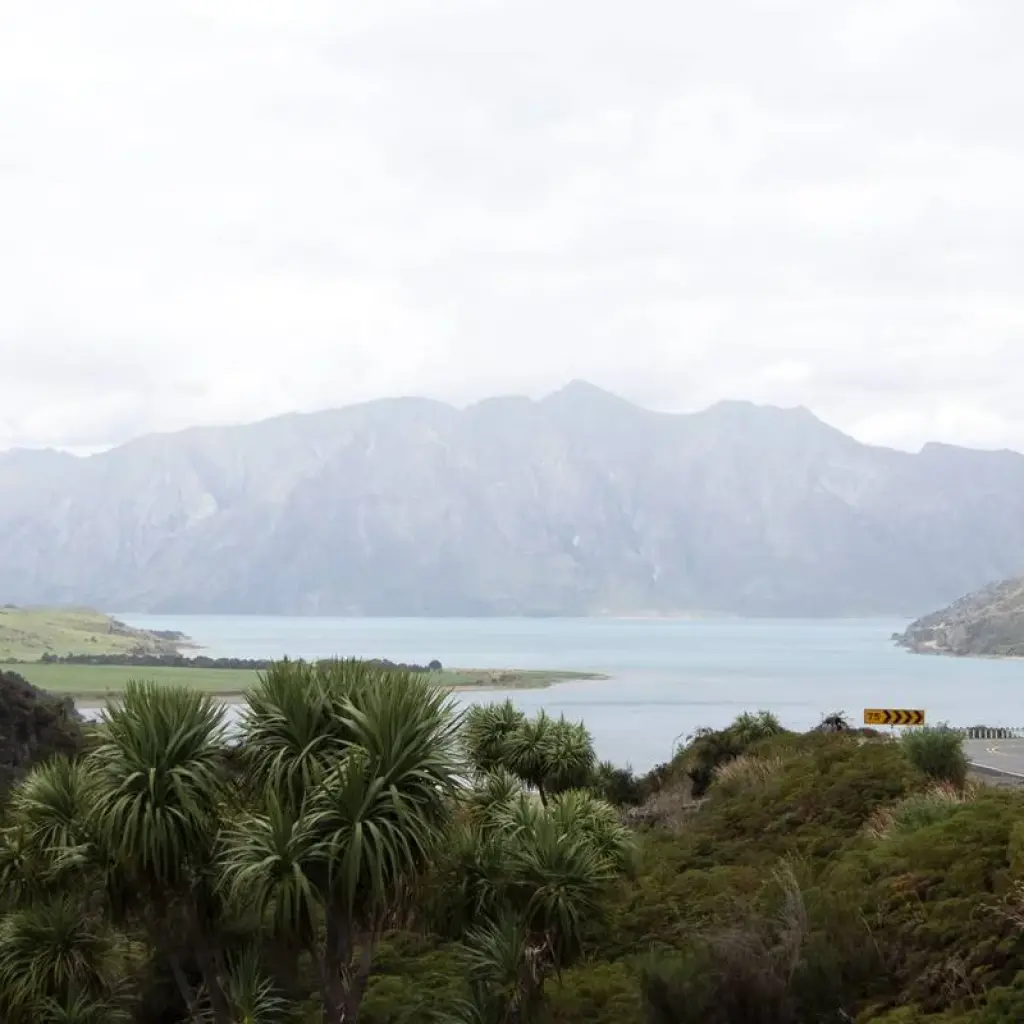 Explore Great West Coast Cycle for 8 days with Adventure South and discover unforgettable experiences - Photo 2