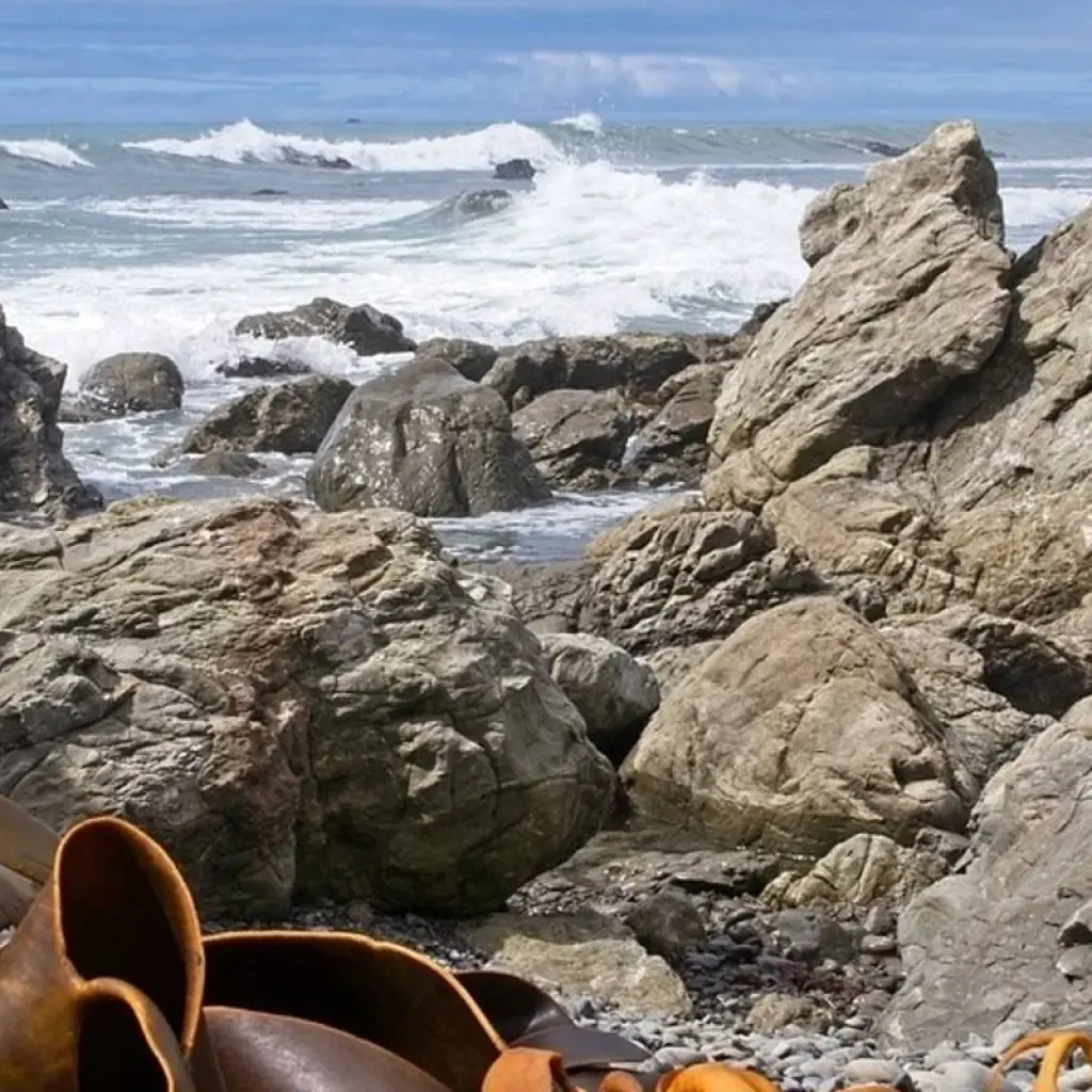 Explore Marlborough and West Coast Cycle for 7 days with Adventure South and discover unforgettable experiences - Photo 2