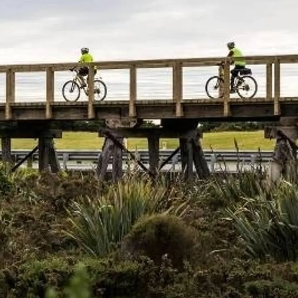 Explore West Coast Wilderness Cycle Trail for 5 days with Adventure South and discover unforgettable experiences - Photo 2
