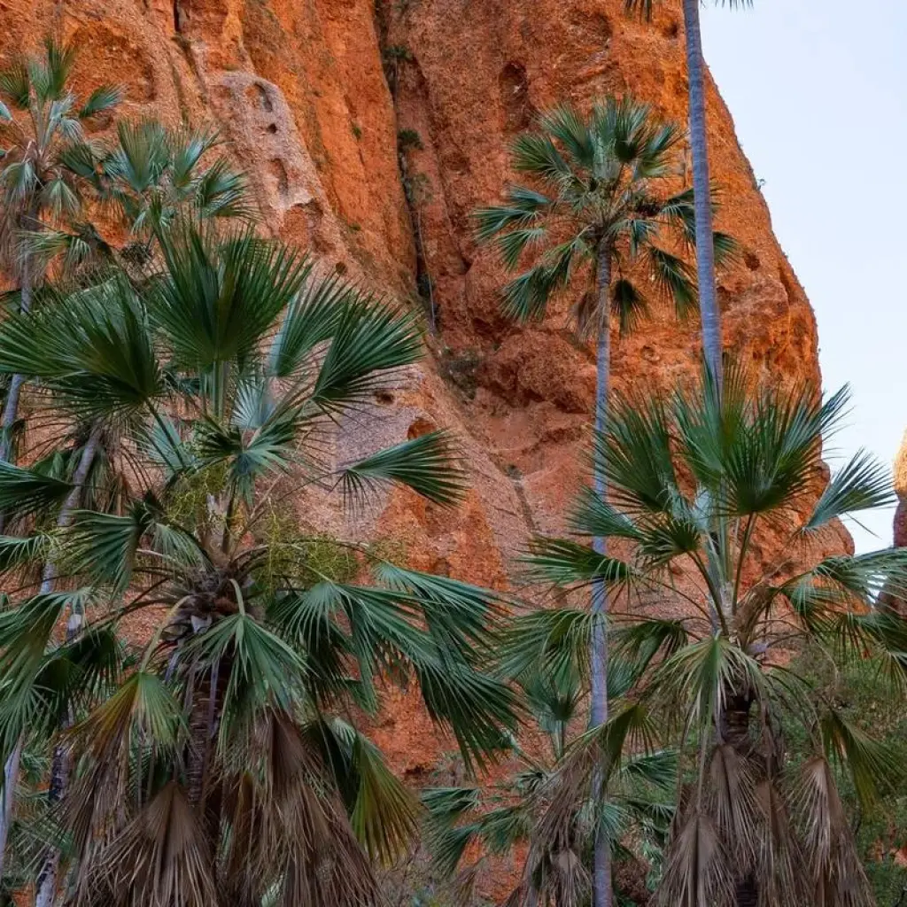 Explore Broome to Darwin 4WD Kimberley Adventure for 10 days with Adventure Tours Australia and discover unforgettable experiences - Photo 2