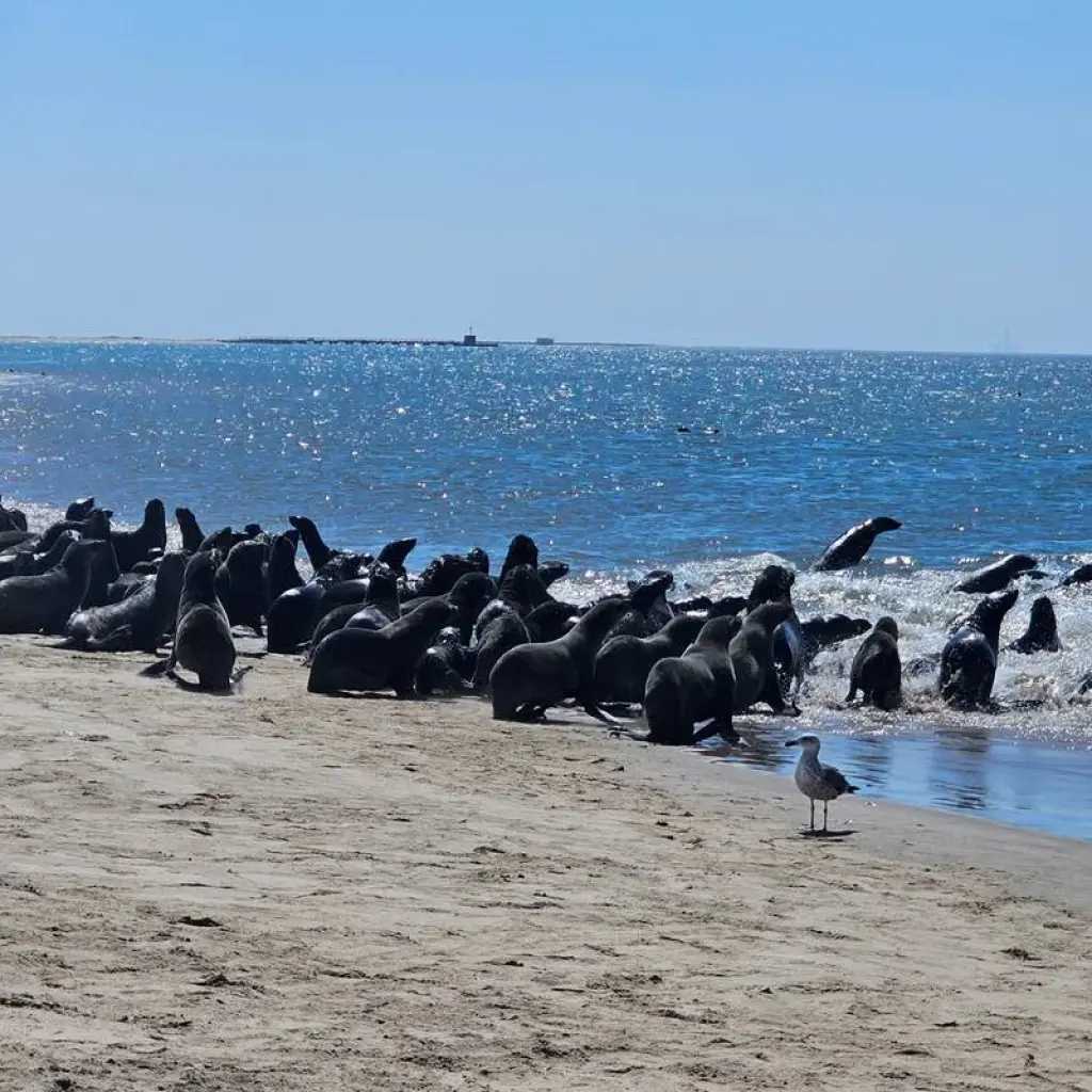 Explore 3 Day Namibia Tour from Johannesburg for 3 days with Africa Moja Tours & Transfers and discover unforgettable experiences - Photo 2