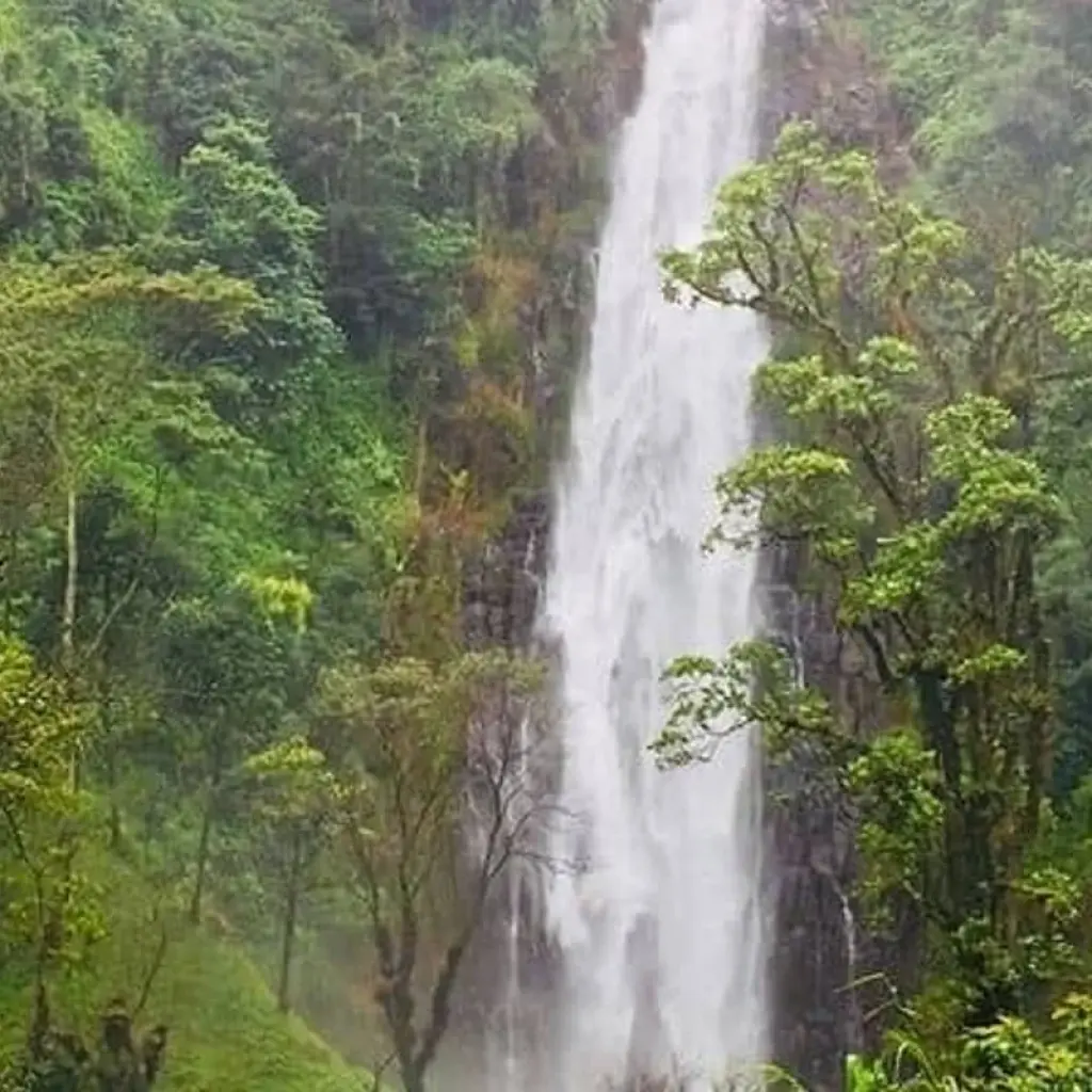 Explore Materuni waterfalls, coffee tour & kikuletwa hot springs for 1 days with Africa Outland Safaris and discover unforgettable experiences - Photo 2