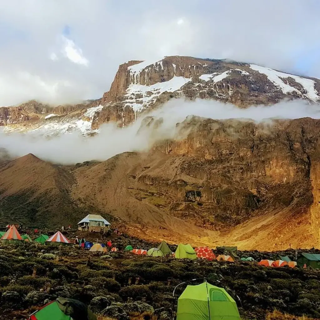 Explore 6 days climb Kilimanjaro Marangu Route for 6 days with Africa Outland Safaris and discover unforgettable experiences - Photo 2