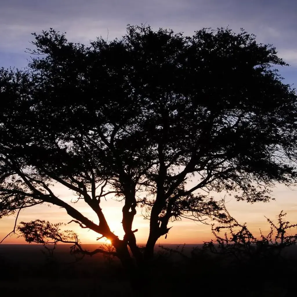 Explore six Days Big Five Safari for 6 days with Africa Outland Safaris and discover unforgettable experiences - Photo 2