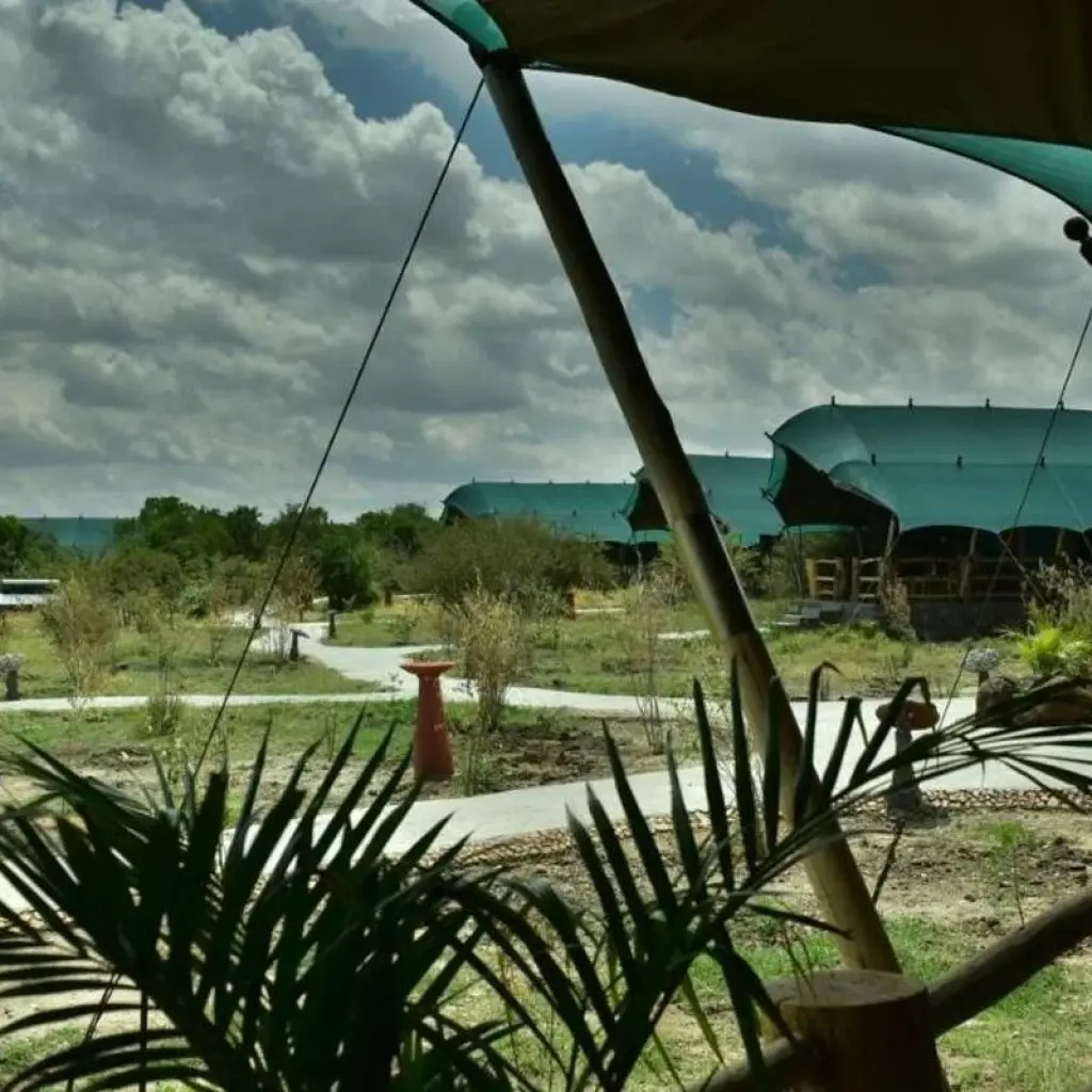 Explore 3 Days fly-in Masai Mara Safari for 3 days with African Breeze Safaris and discover unforgettable experiences - Photo 2