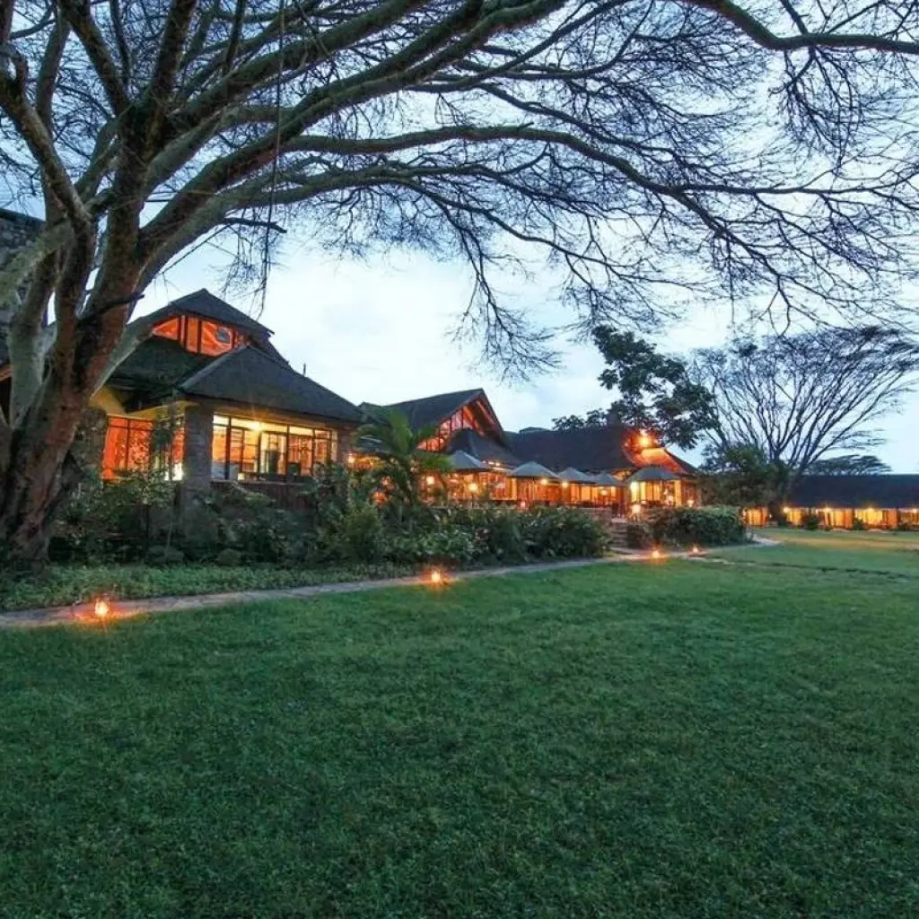 Explore 4 Days Masai Mara Flying Safari - Keekorok Lodge for 4 days with Africa Venture Safaris and discover unforgettable experiences - Photo 2