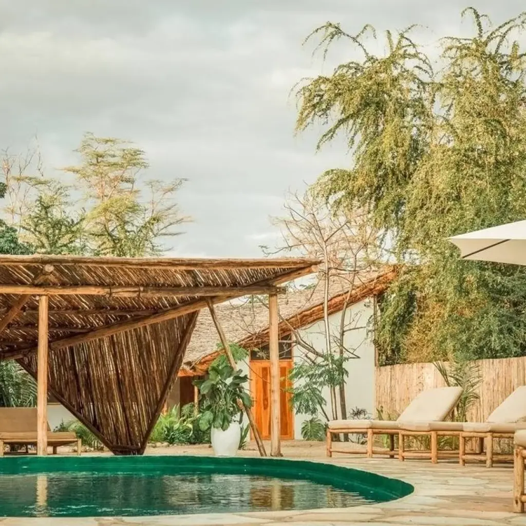 Explore 4-Days Private Midrange Safari from and to Zanzibar for 4 days with African Polecat Safaris and discover unforgettable experiences - Photo 2