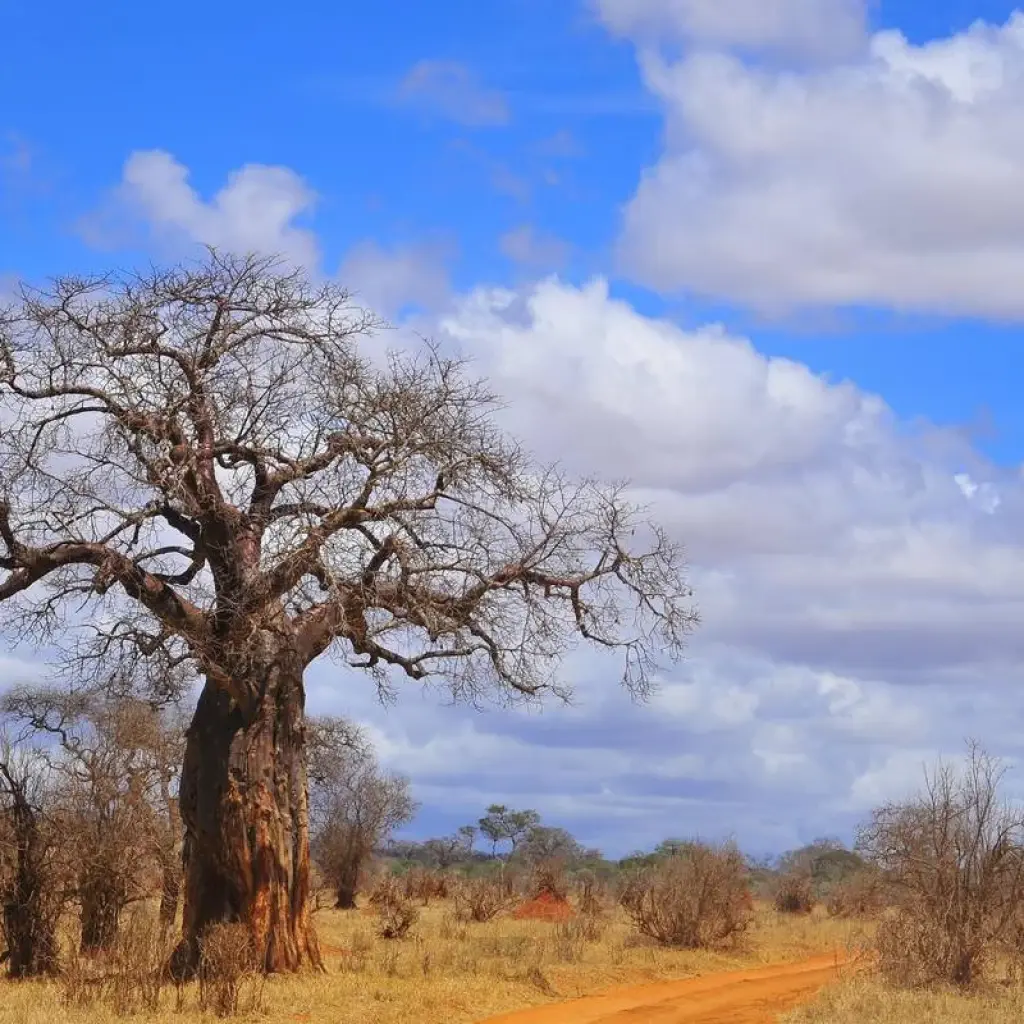 Explore 3-Days Tarangire & Ngorongoro Mid-Range Private Safari From & To Zanzibar for 3 days with African Polecat Safaris and discover unforgettable experiences - Photo 2
