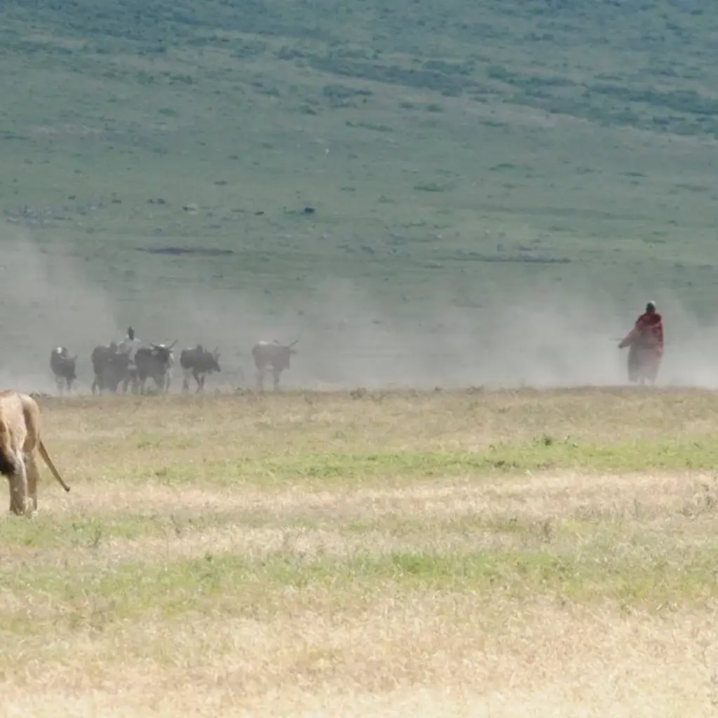 Explore 5-Days Private Budget Safari: Tarangire, Serengeti & Ngorongoro for 5 days with African Polecat Safaris and discover unforgettable experiences - Photo 2