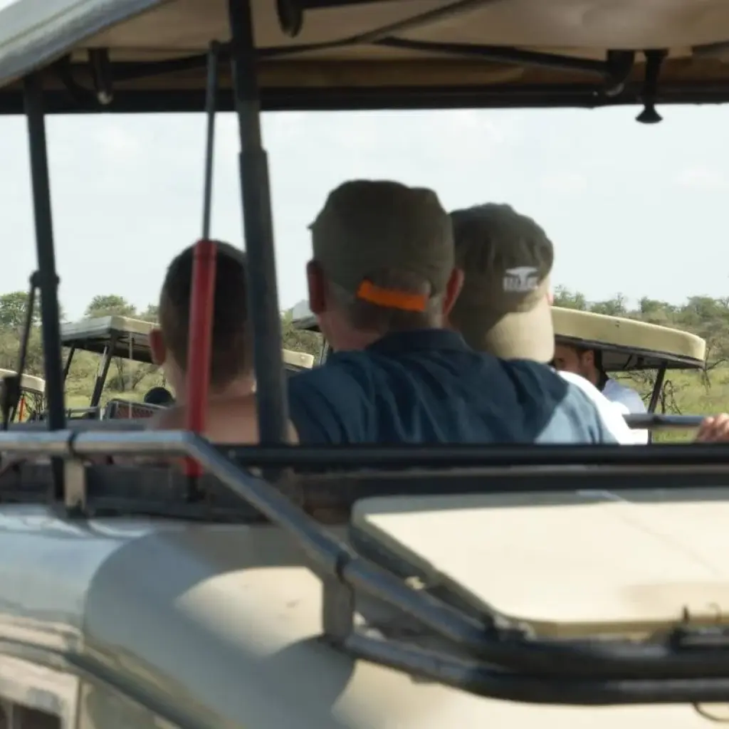 Explore 3-Days Private Mid-Range Wildebeest Calving season Safari for 3 days with African Polecat Safaris and discover unforgettable experiences - Photo 2